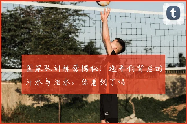 国家队训练营揭秘：选手们背后的汗水与泪水，你看到了吗