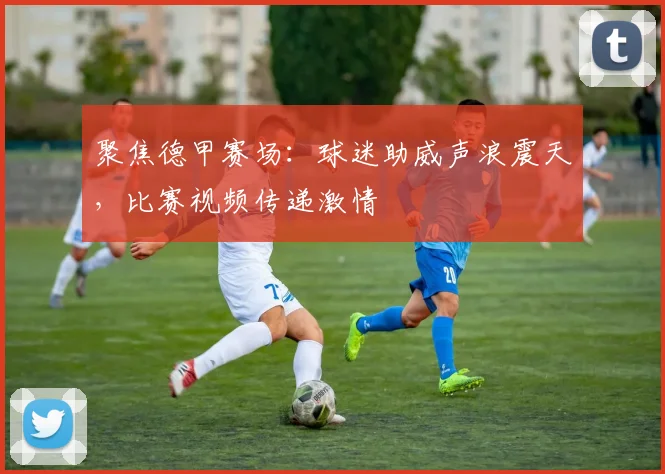 聚焦德甲赛场：球迷助威声浪震天，比赛视频传递激情