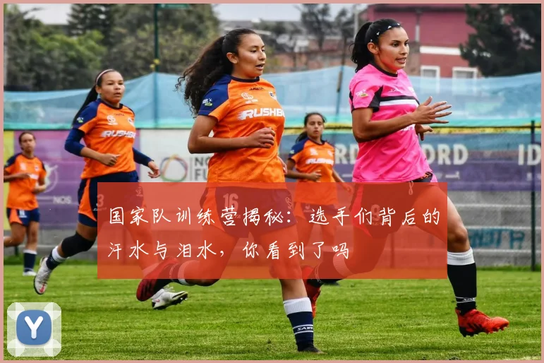国家队训练营揭秘：选手们背后的汗水与泪水，你看到了吗