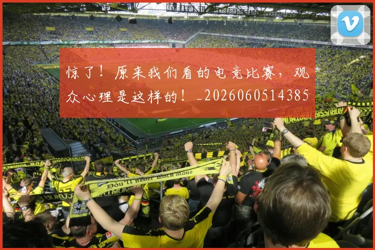 惊了！原来我们看的电竞比赛，观众心理是这样的！_20260605143854